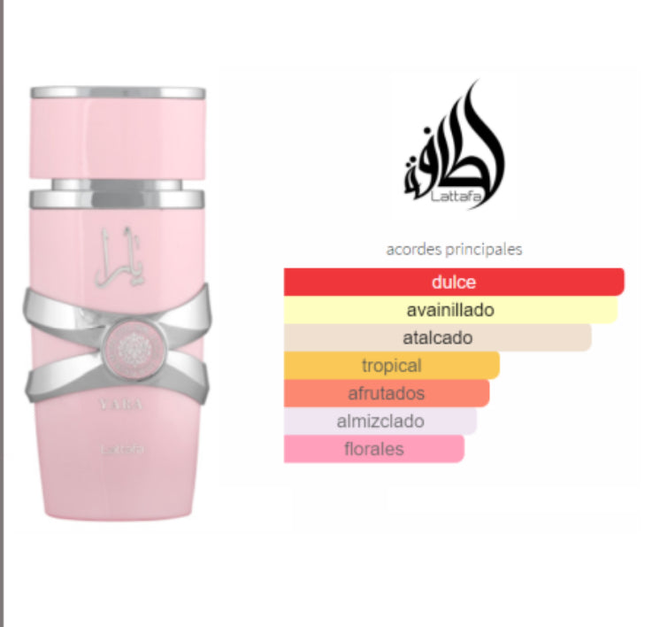 PERFUME NEBRAS 100 ML